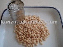 canned white bean - product's photo