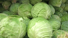 onion , carrot, cabbage from denmark - product's photo