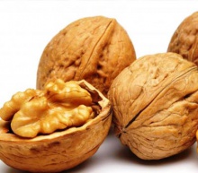 european quality walnuts  - product's photo