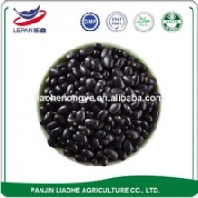 black beans - product's photo