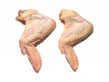 wholesale frozen chicken wings halal products  - product's photo