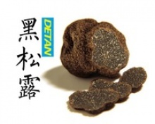 black truffle mushroom - product's photo