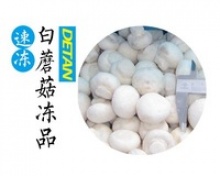 champignon mushroom - product's photo