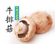 portobello mushroom - product's photo