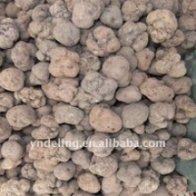 fresh truffle 3-5cm - product's photo