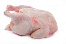 frozen chicken meat  - product's photo
