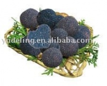 willd truffle - product's photo