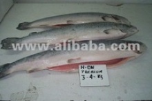 salmon - product's photo