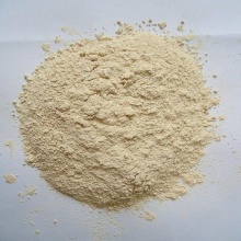 dehydrated garlic powder - product's photo
