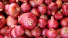 onion, yellow onion, red onion, fresh onion - product's photo
