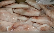 wholesale frozen fresh black grouper fish  - product's photo