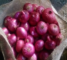 egyptian red onion (grade a) for sale..whatsapp: +4565743935 - product's photo