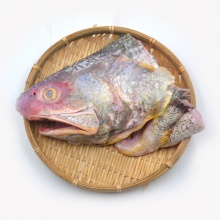mackerel/indian mackerel/spanish mackerel - product's photo