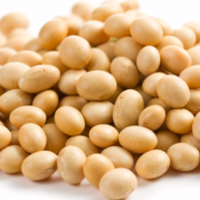soybean - product's photo