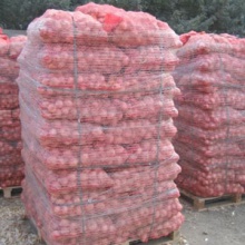 onions for sale  - product's photo