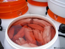 salted pig feet in strong brine - product's photo