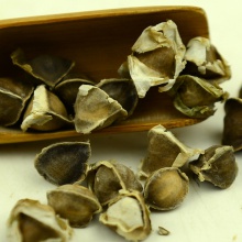 moringa seed - (with wing) - product's photo