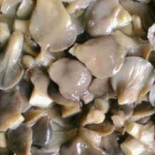canned oyster mushroom - product's photo