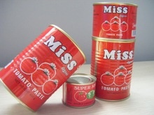 factory supply canned tomato paste - product's photo