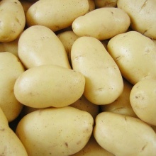 high quality 100% organic fresh potatoes - product's photo