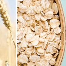 grain oats  - product's photo