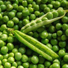 peas - product's photo