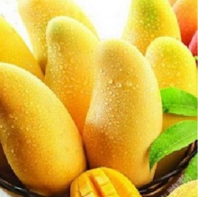 mango powder  - product's photo