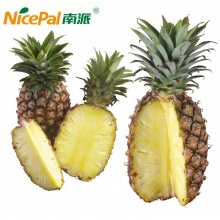 pineapple powder  - product's photo