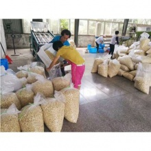   cashew nuts for sale  - product's photo