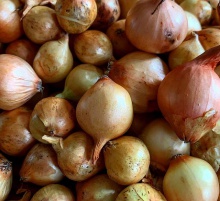 top quality fresh onion for sale - product's photo