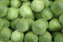 organic green cabbage - product's photo