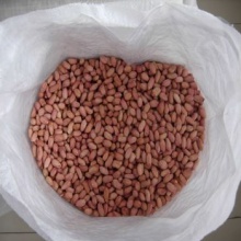peanut nut kernel  - product's photo