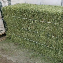 high quality animal feed alfalfa meal / alfalfa hay for sale  - product's photo