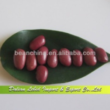 supply small red kidney beans - product's photo
