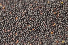 rapeseed - product's photo