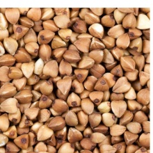grade a roasted buckwheat - product's photo