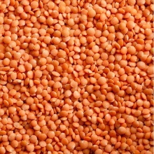 dry green and red  lentils - product's photo