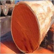africa tali wood logs - product's photo