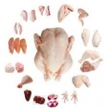 halal frozen chicken parts - product's photo