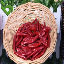 chili dried pepper - product's photo