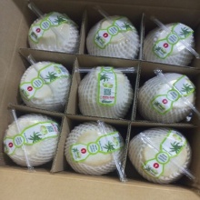 vietnamese coconut products - product's photo