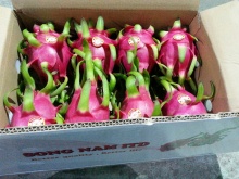 song nam dragon fruit in viet nam - product's photo