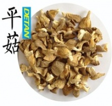 oyster mushrooms - product's photo
