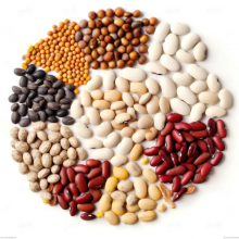 red kidney beans wholesale - product's photo