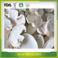 fd mushroom - product's photo