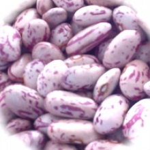 light kidney beans - product's photo