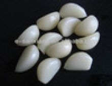 garlic in drum - product's photo