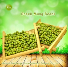 jsx china grade a mung dal high quality excellent new crop green mung beans - product's photo