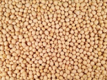 soybeans - product's photo