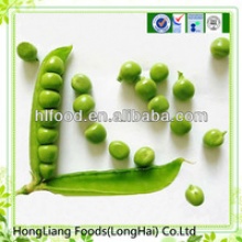 delicious canned green peas fresh in 400g tin - product's photo